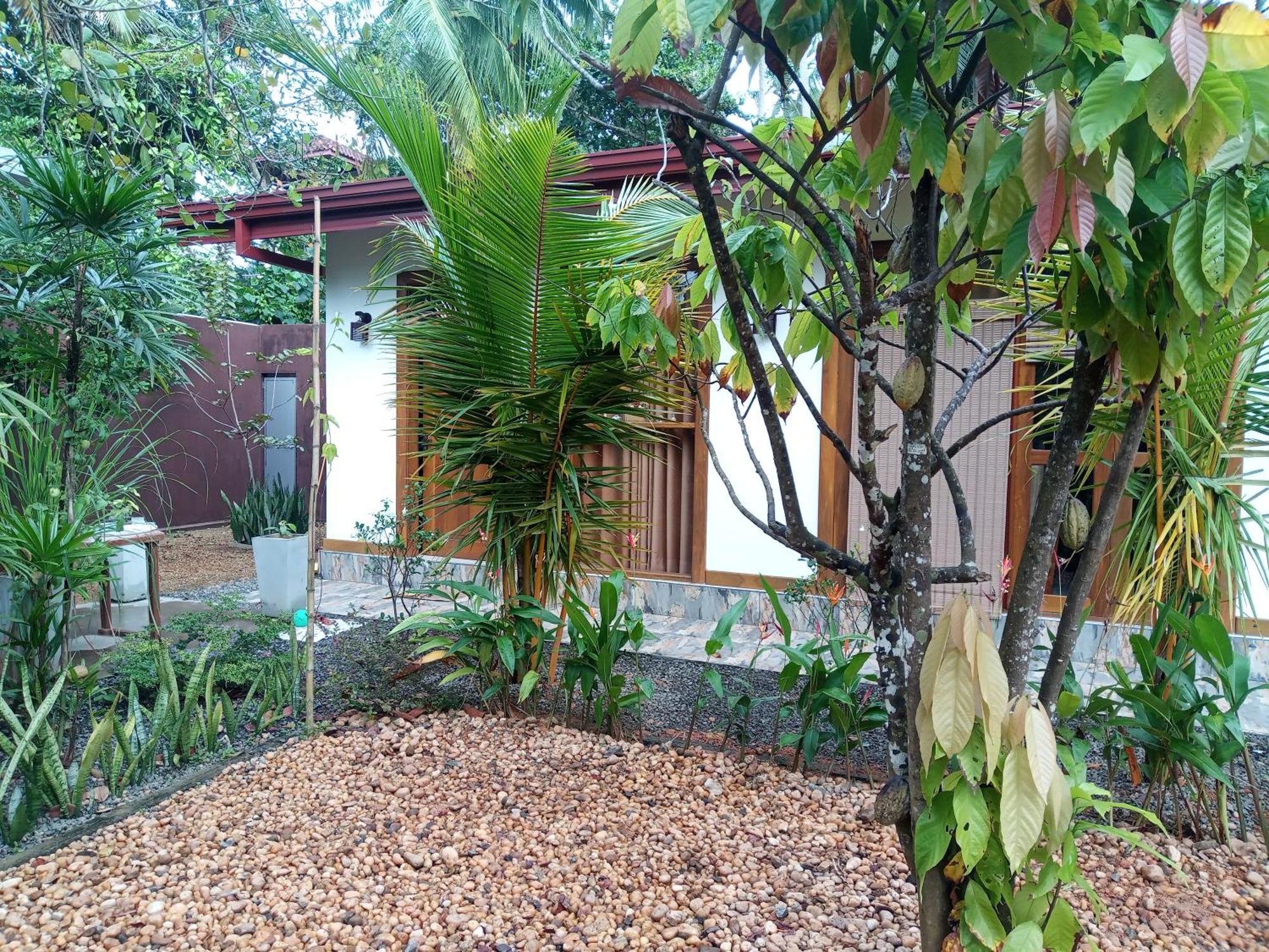 Luxury Villa With Bb Free Wi-Fi Bentota Exteriér fotografie