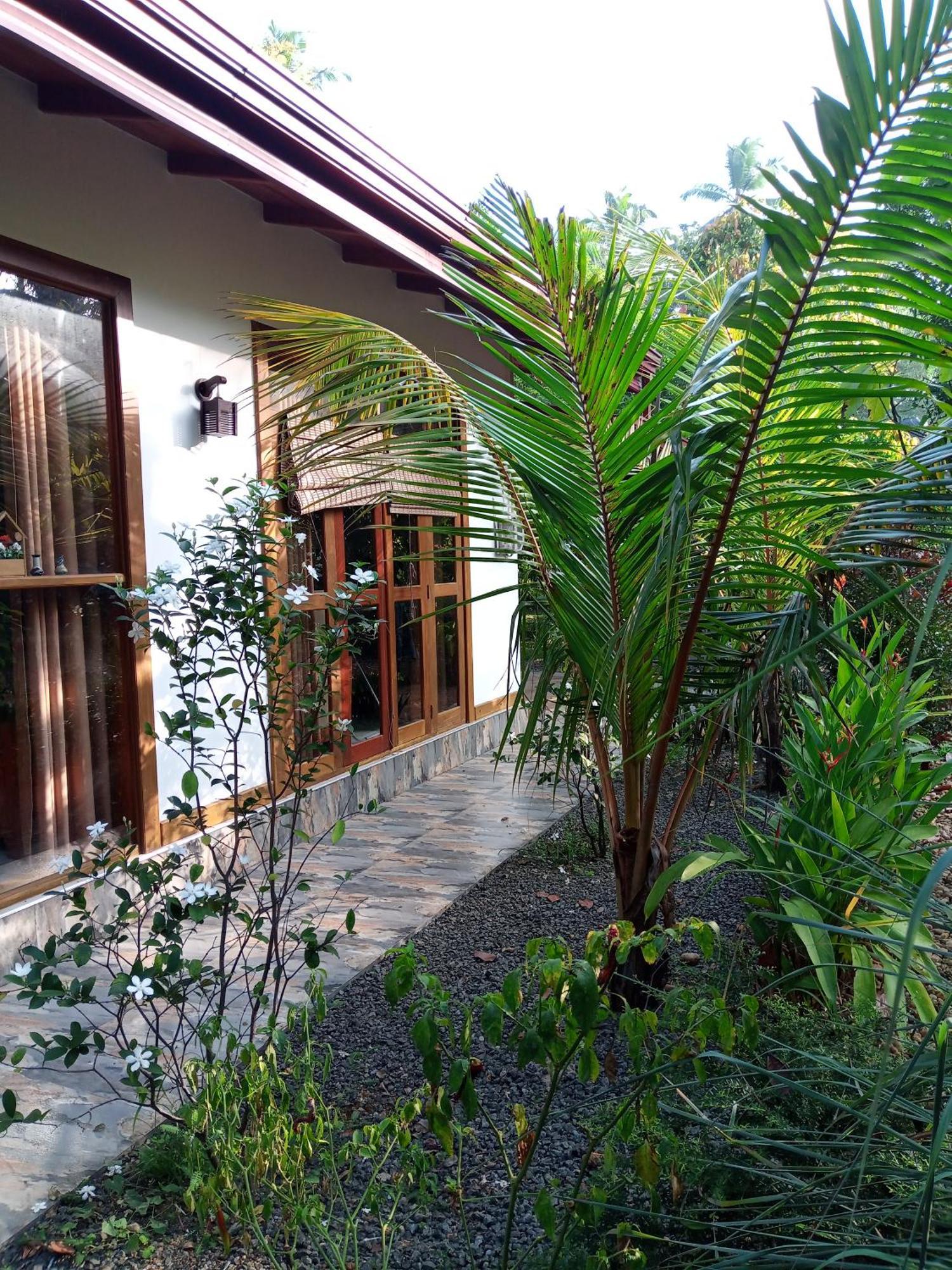 Luxury Villa With Bb Free Wi-Fi Bentota Exteriér fotografie